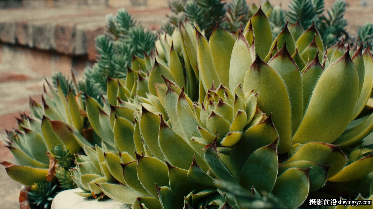 Linny Rebuild LUTs -ARRI,RED和Blackmagic色彩科学LUT预设/达芬奇节点