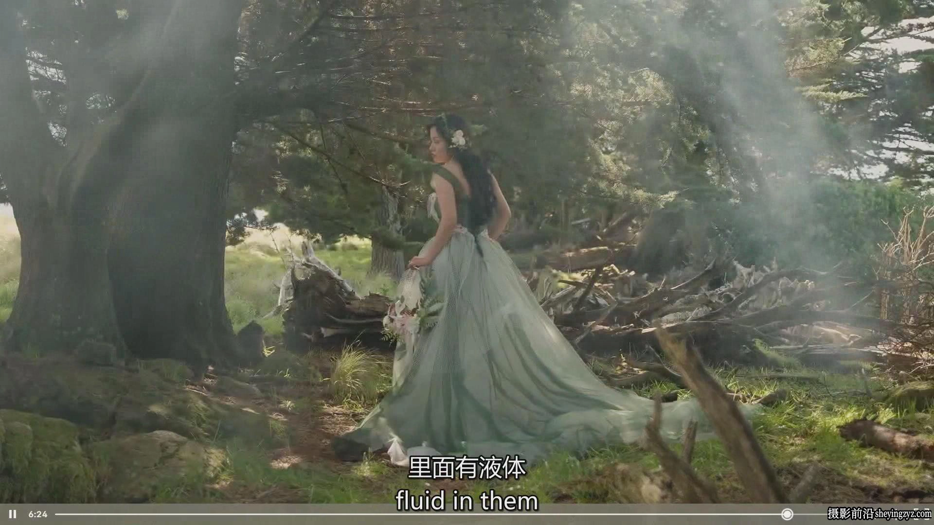 Zhuoya - 专业婚礼摄影及婚纱大片后期修饰大师班教程-独家中英字幕