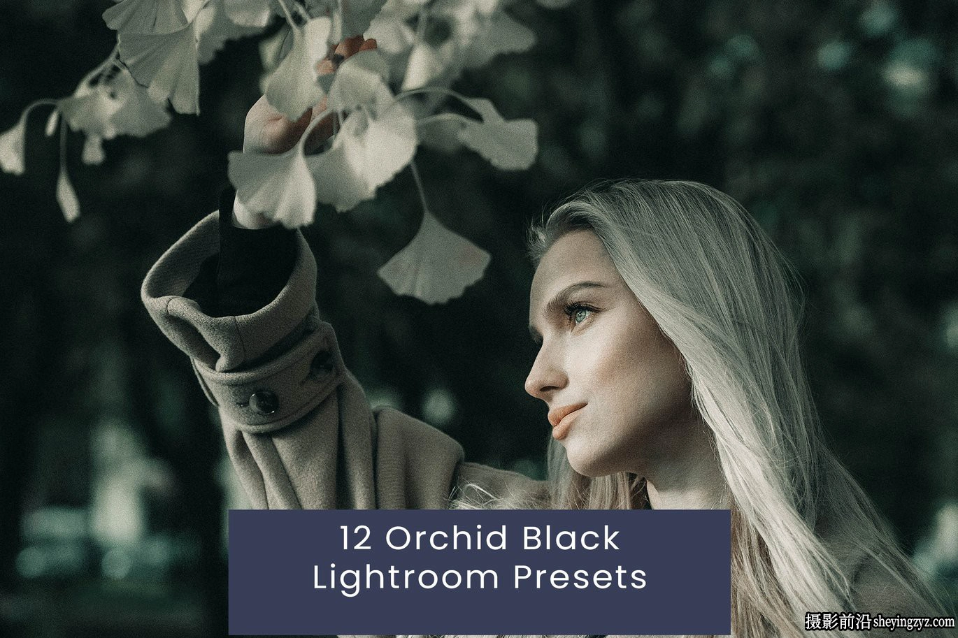 12种黑暗情绪电影人像lr预设ACR调色预设 Black Lightroom Presets