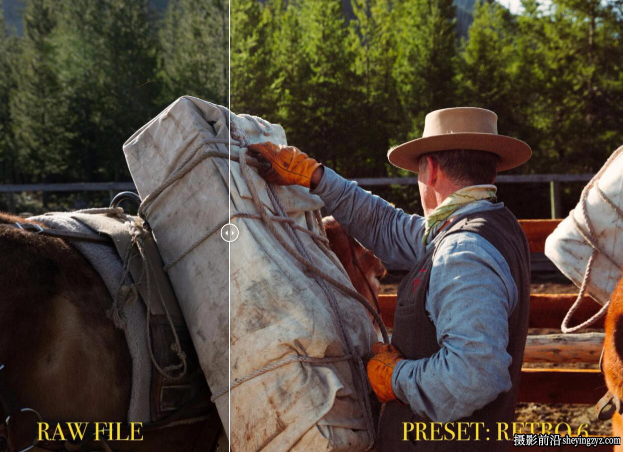 Forrest Mankins 38个经典胶卷模拟LR预设FM Film Lightroom Presets