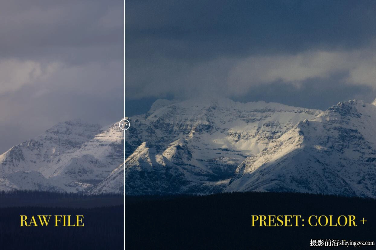 Forrest Mankins 38个经典胶卷模拟LR预设FM Film Lightroom Presets