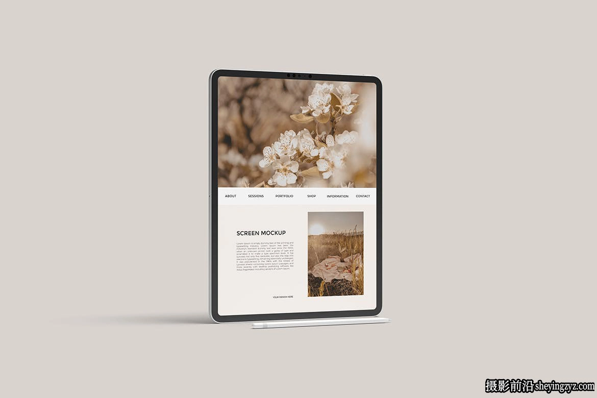 iPadPro样机,ipad产品样机模型