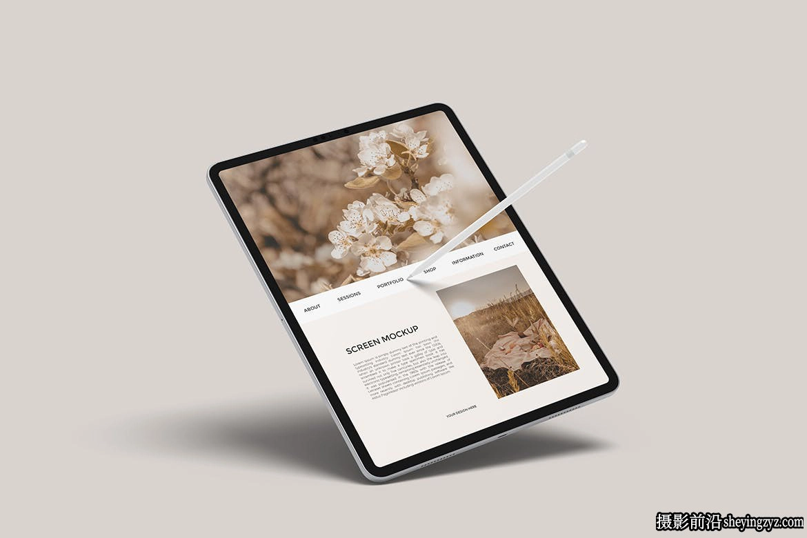 iPadPro样机,ipad产品样机模型
