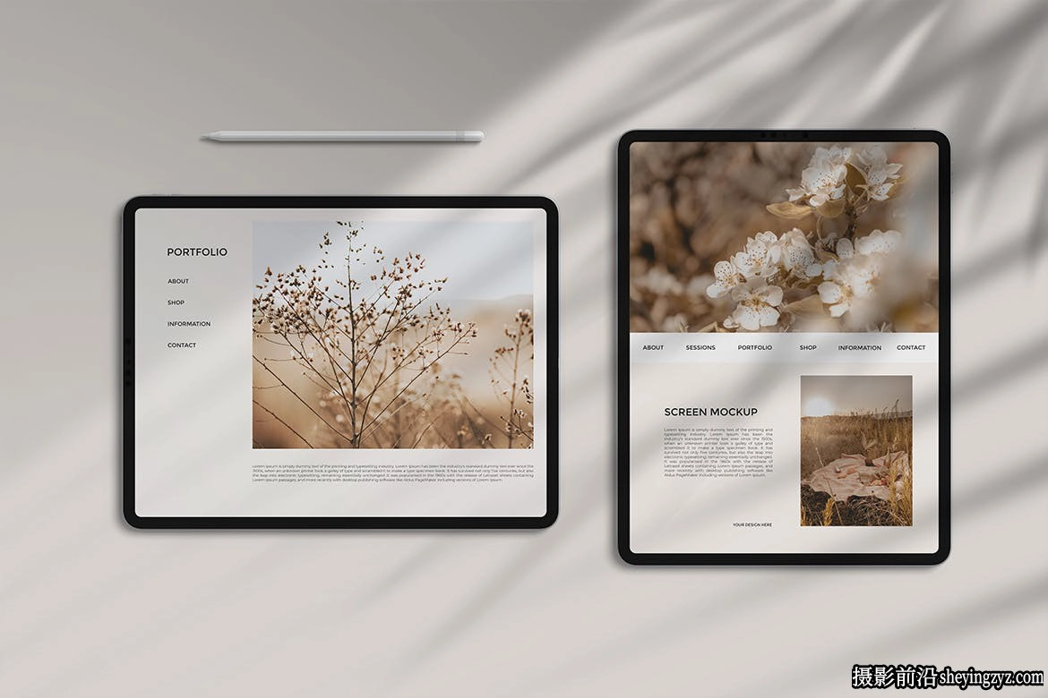 iPadPro样机,ipad产品样机模型