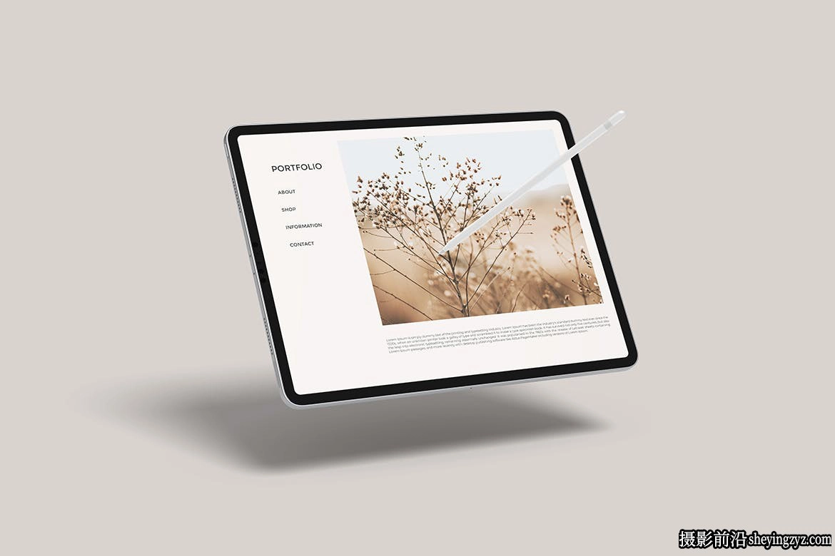 iPadPro样机,ipad产品样机模型
