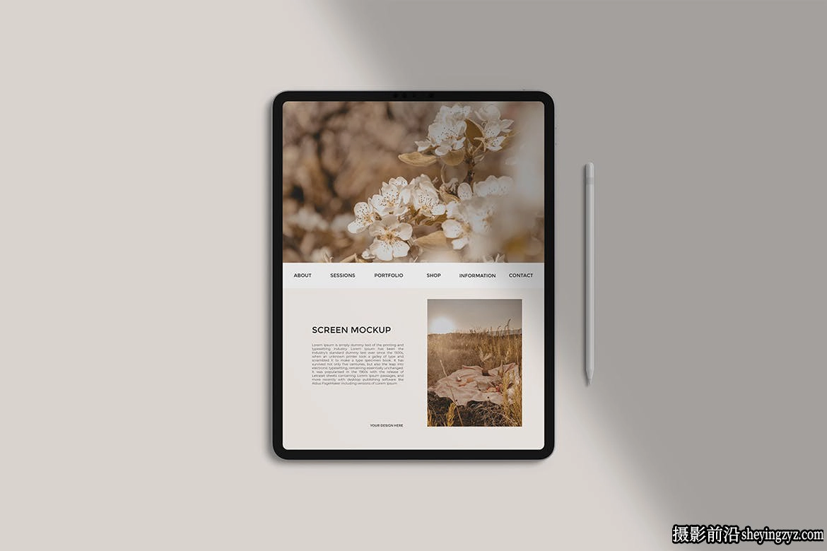 iPadPro样机,ipad产品样机模型