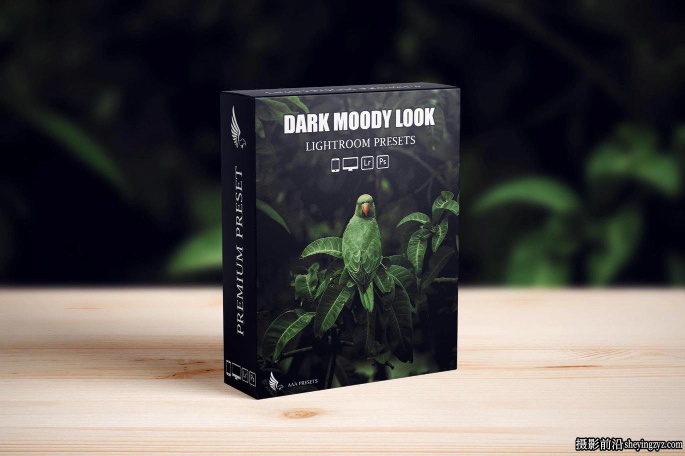 深色复古胶片lr预设及手机lr预设 Dark Moody Lightroom Presets