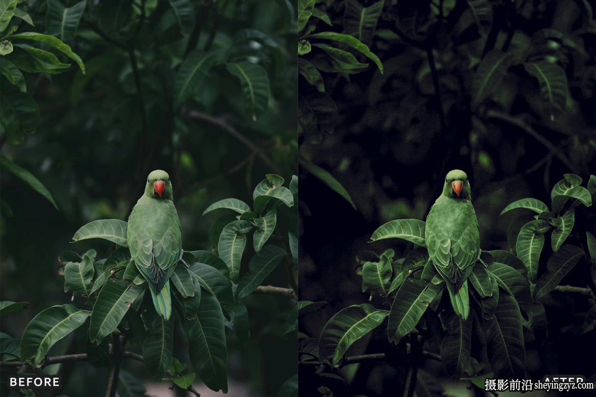 深色复古胶片lr预设及手机lr预设 Dark Moody Lightroom Presets