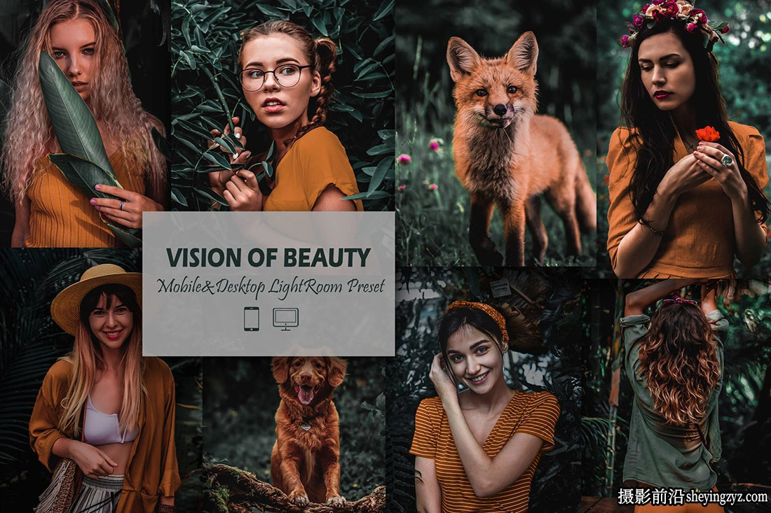 情绪森系电影人像Lr预设ACR调色预设 Vision of Beauty Lightroom