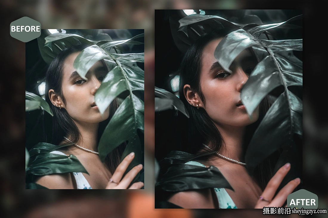 情绪森系电影人像Lr预设ACR调色预设 Vision of Beauty Lightroom
