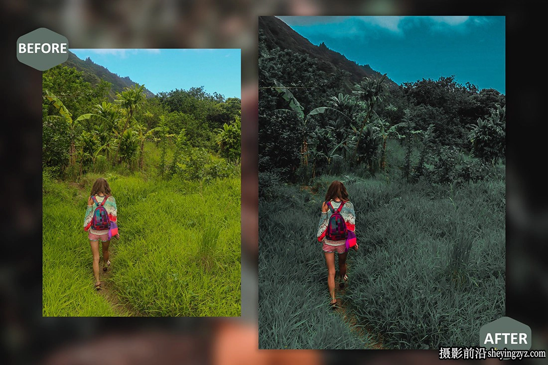 情绪森系电影人像Lr预设ACR调色预设 Vision of Beauty Lightroom