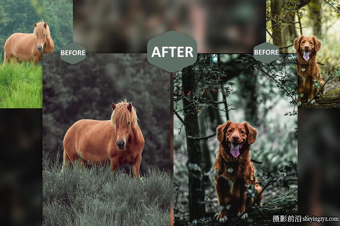 情绪森系电影人像Lr预设ACR调色预设 Vision of Beauty Lightroom