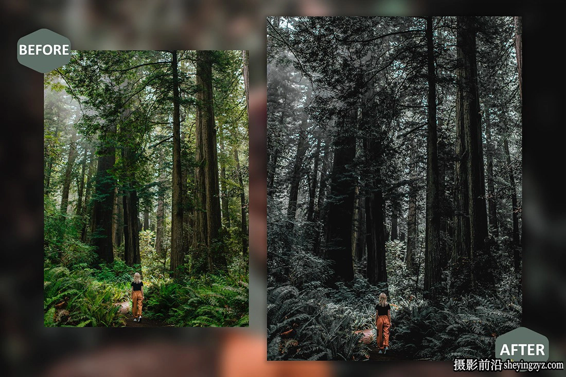 情绪森系电影人像Lr预设ACR调色预设 Vision of Beauty Lightroom