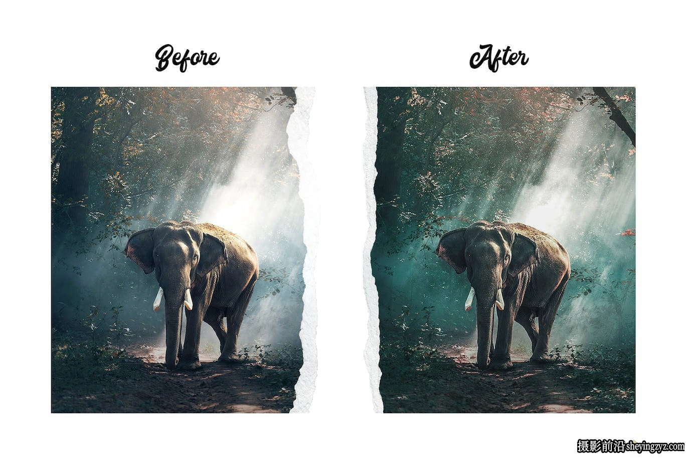 高级自然风光Lr预设手机lr预设 Premium Nature Lightroom Presets