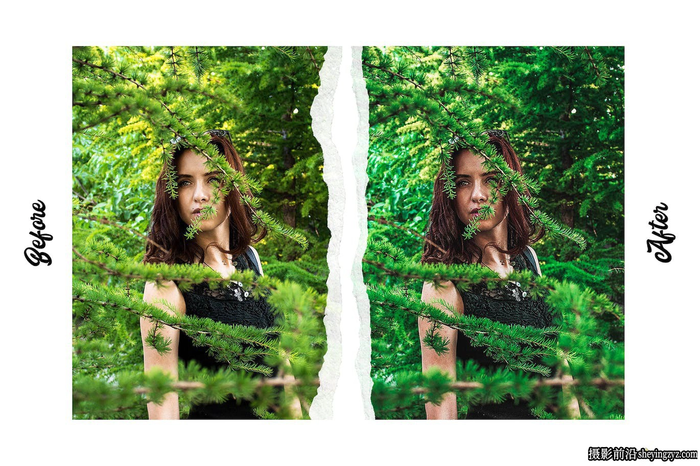 高级自然风光Lr预设手机lr预设 Premium Nature Lightroom Presets