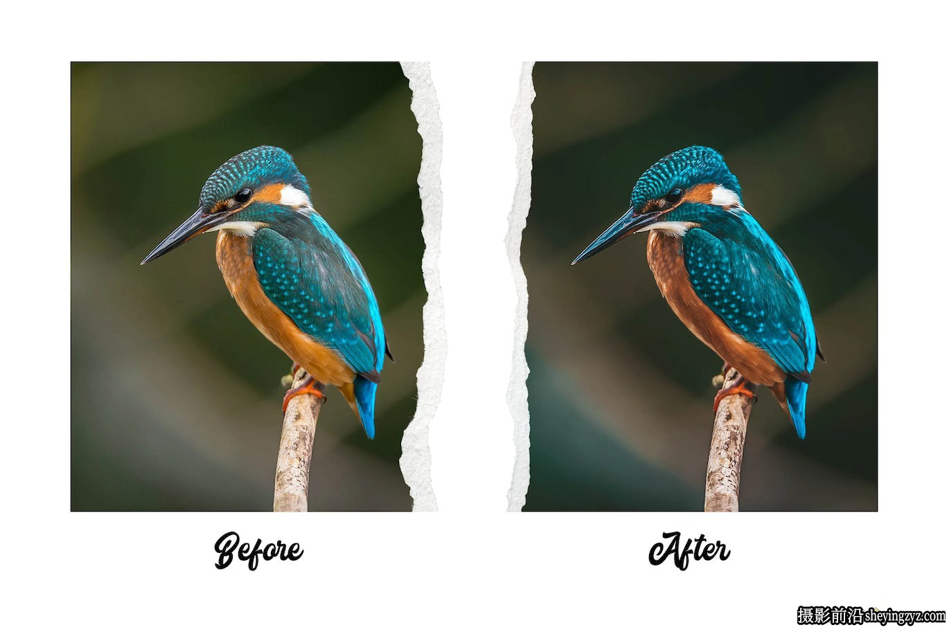 高级自然风光Lr预设手机lr预设 Premium Nature Lightroom Presets