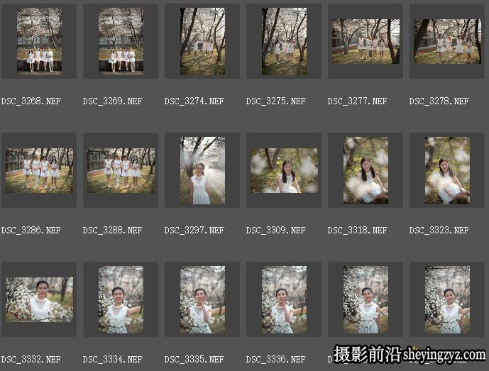 樱花美少女人像摄影RAW格式原图，后期调色RAW原片素材