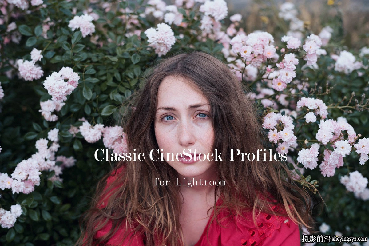 经典胶卷LR配置文件The Classic Presets - Classic CineStock Profiles