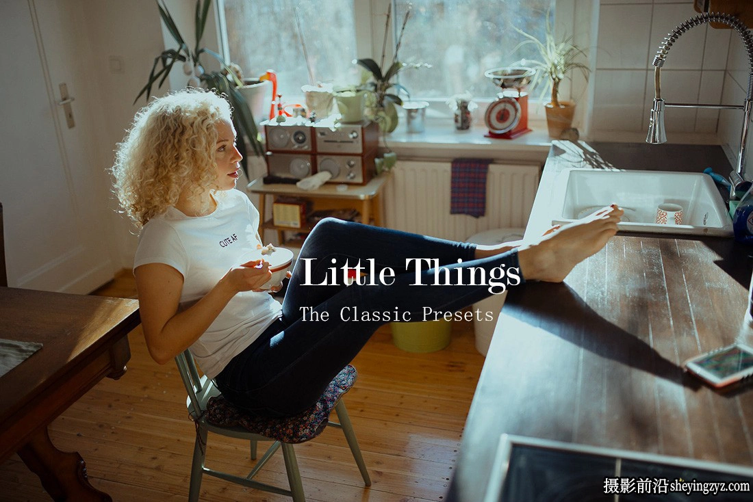 经典电影胶卷LR预设ACR预设 The Classic Presets Little Things Presets