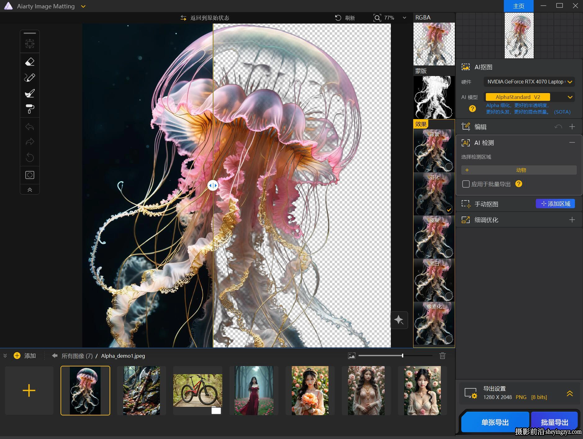 Aiarty Image Matting v2.5.0中文版+模型AI万能抠图软件