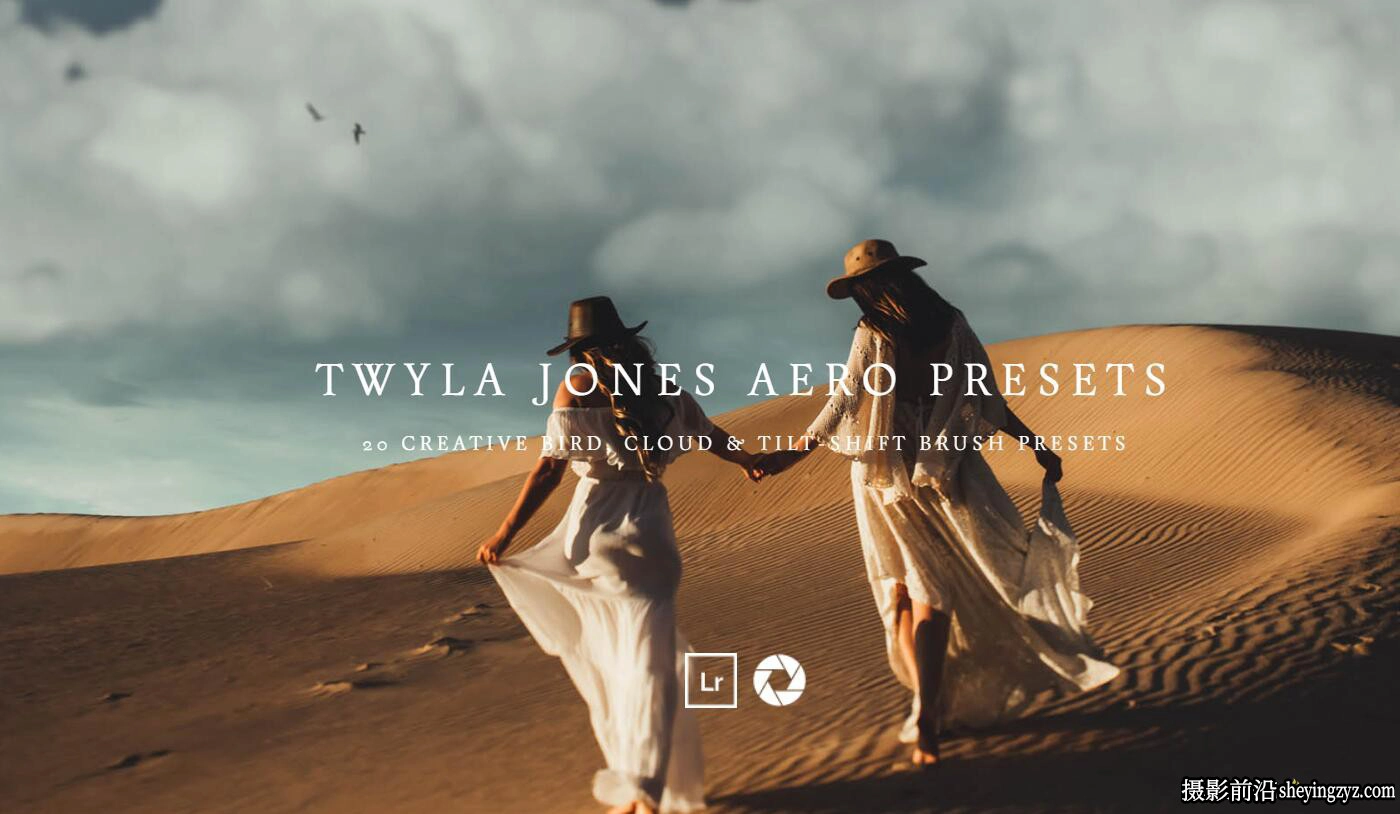 创意LR画笔预设 Meridian Presets -TWYLA JONES AERO PRESETS