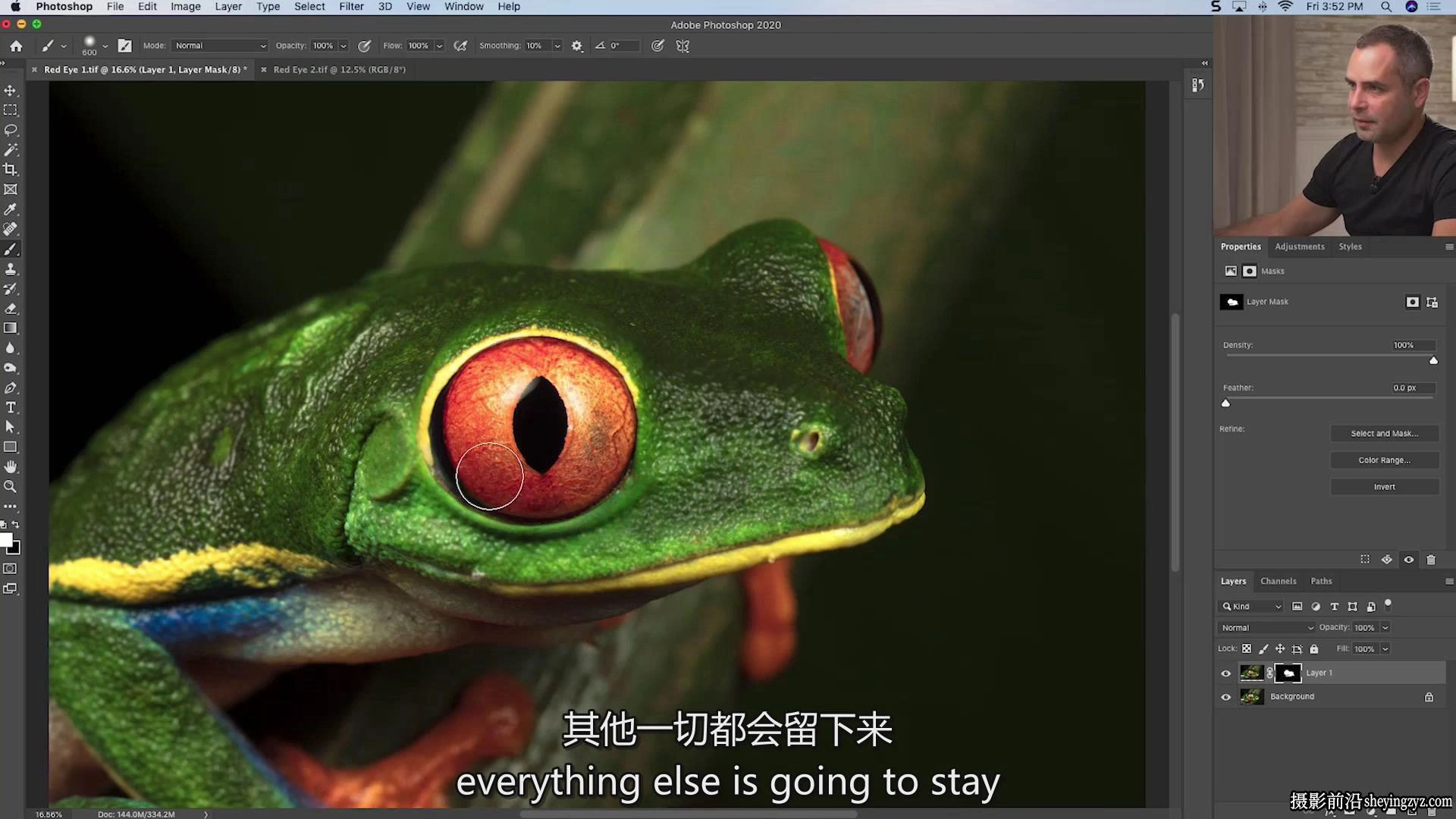 Fstoppers-Andres Moline掌握微距摄影:完整拍摄和编辑教程-中英字幕
