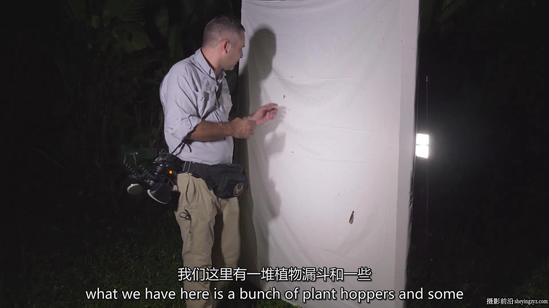 Fstoppers-Andres Moline掌握微距摄影:完整拍摄和编辑教程-中英字幕