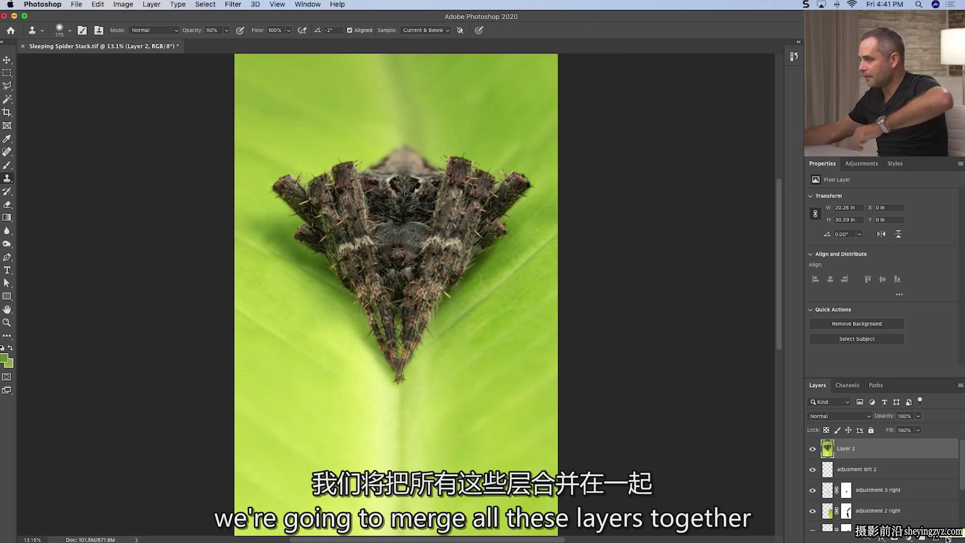 Fstoppers-Andres Moline掌握微距摄影:完整拍摄和编辑教程-中英字幕