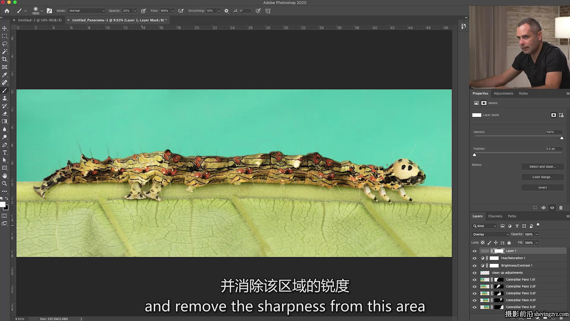 Fstoppers-Andres Moline掌握微距摄影:完整拍摄和编辑教程-中英字幕