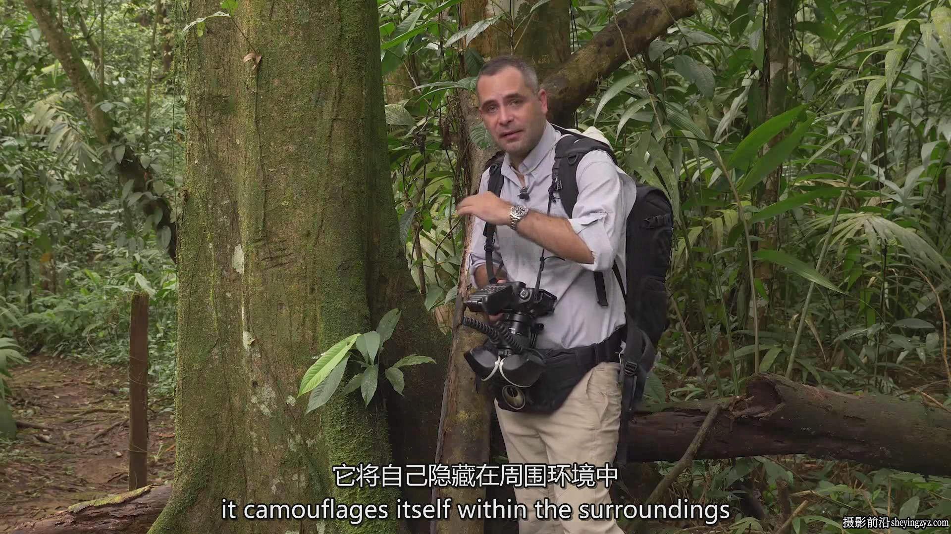 Fstoppers-Andres Moline掌握微距摄影:完整拍摄和编辑教程-中英字幕