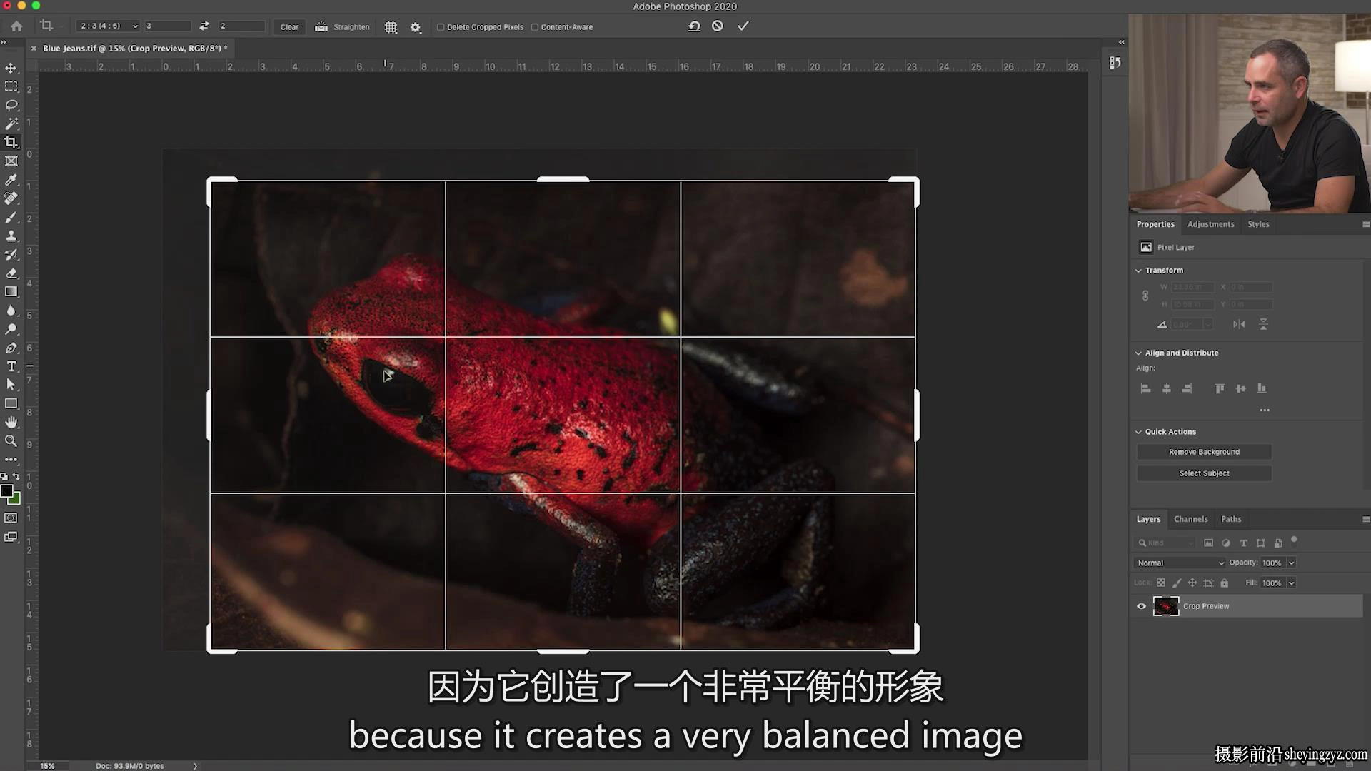 Fstoppers-Andres Moline掌握微距摄影:完整拍摄和编辑教程-中英字幕