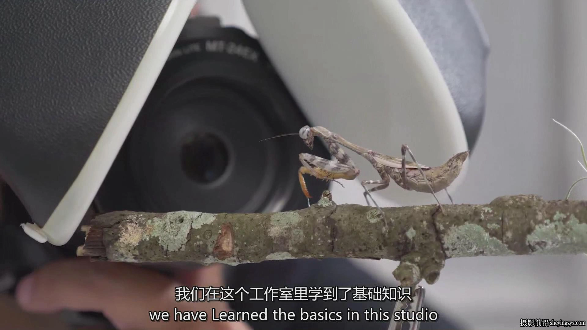 Fstoppers-Andres Moline掌握微距摄影:完整拍摄和编辑教程-中英字幕