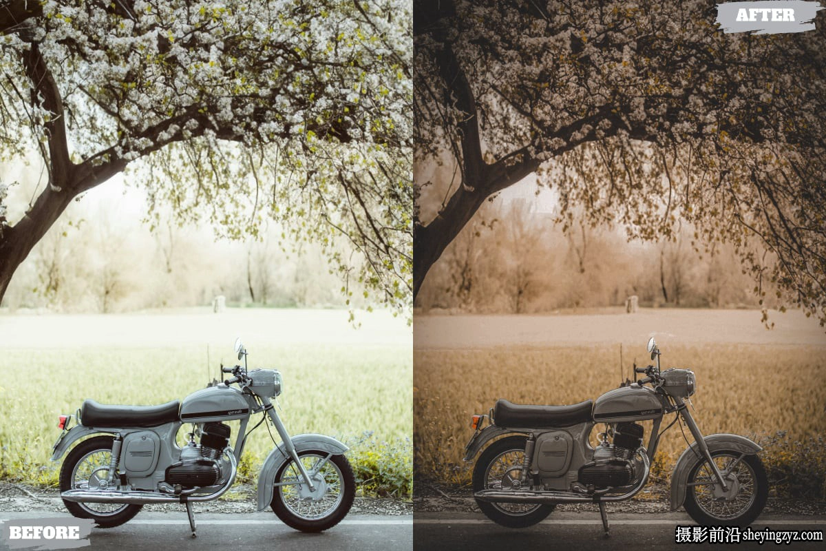 经典电影胶片lr预设及手机lr预设Classic Film Lightroom Presets