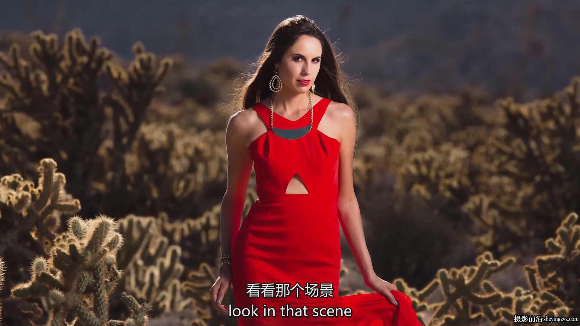 SLR Lounge-掌握闪光灯A-Z摄影培训教程四套完整合集-独家中英字幕