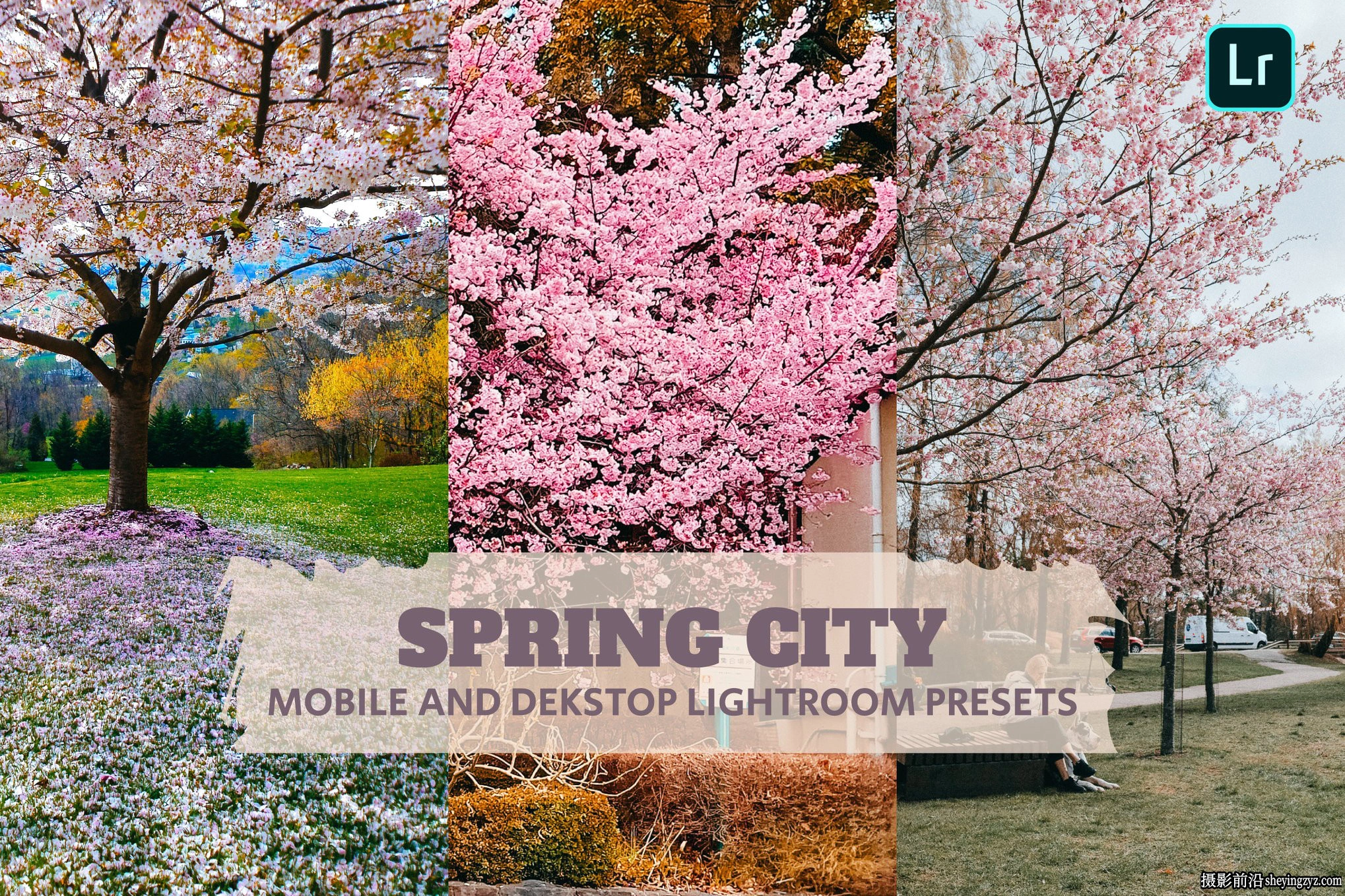 春季风光后期调色LR预设及手机lr预设 Spring City Lightroom Presets