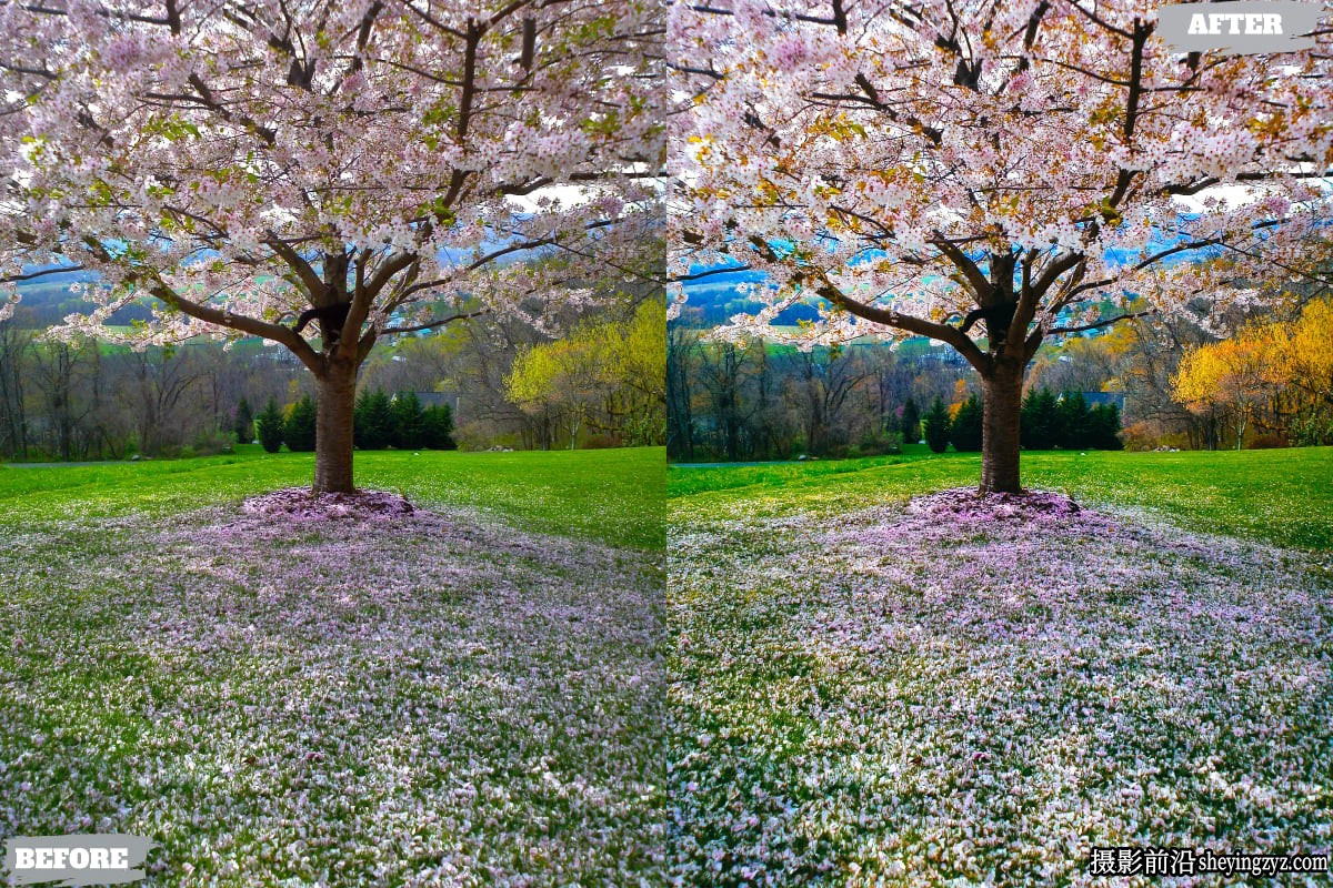 春季风光后期调色LR预设及手机lr预设 Spring City Lightroom Presets