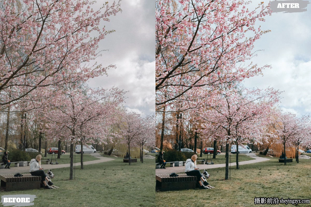 春季风光后期调色LR预设及手机lr预设 Spring City Lightroom Presets
