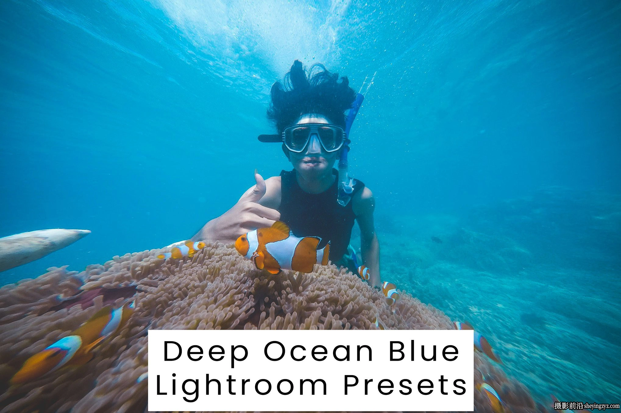 水下摄影蓝调lr预设ACR调色滤镜 Deep Ocean Blue Lightroom Presets