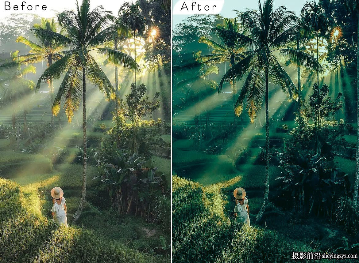 森系电影旅拍风光调色LR预设ACR调色预设 Bali Lightroom Presets