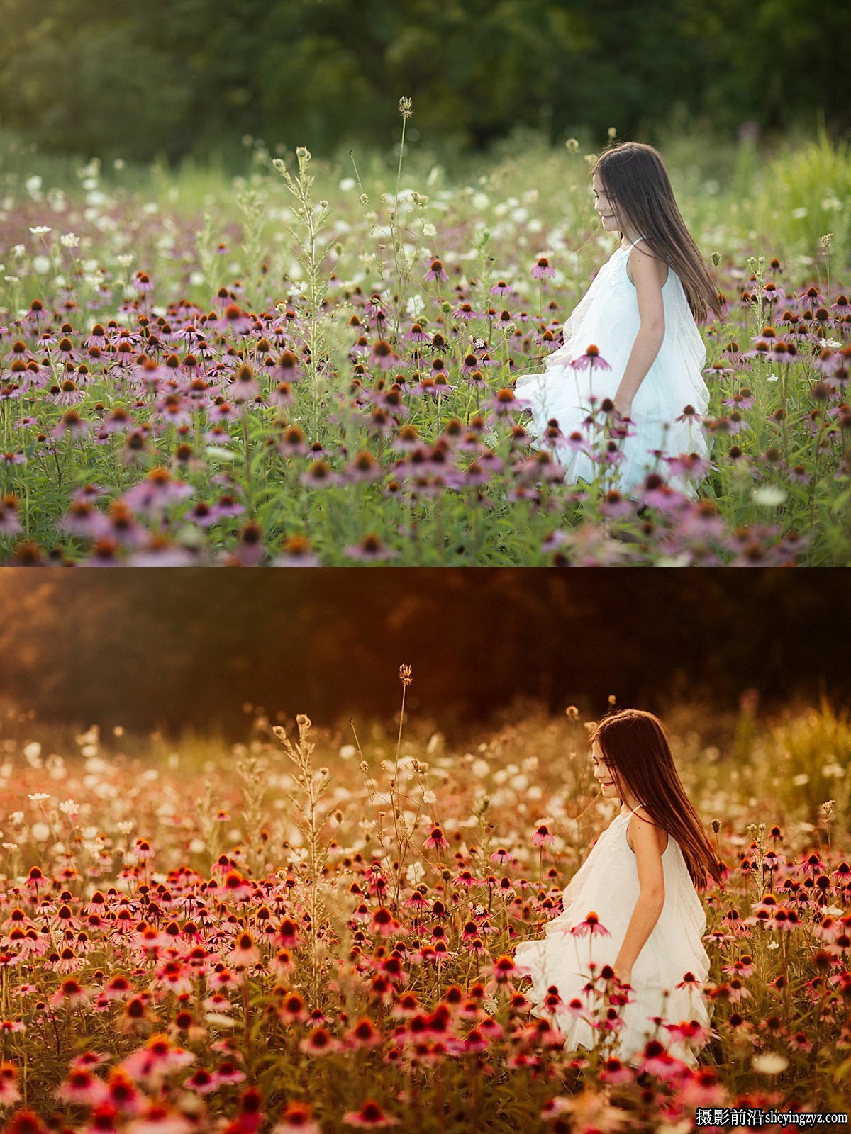 秋季梦幻日光浴人像lr预设 Lemonandlacepresets -  Sunkissed &amp; Sandy