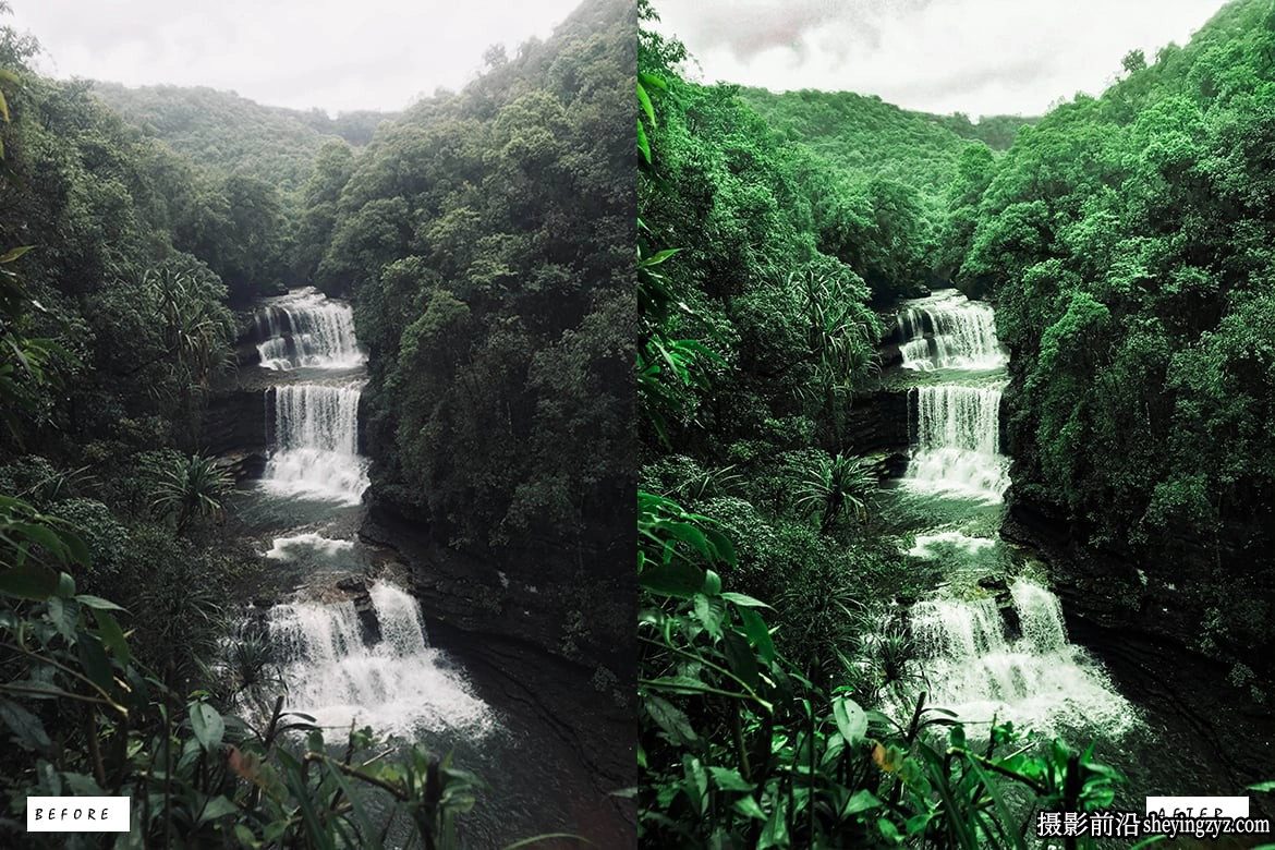森林电影风光调色LR预设PS预设 Cinematic Forest Lightroom Presets