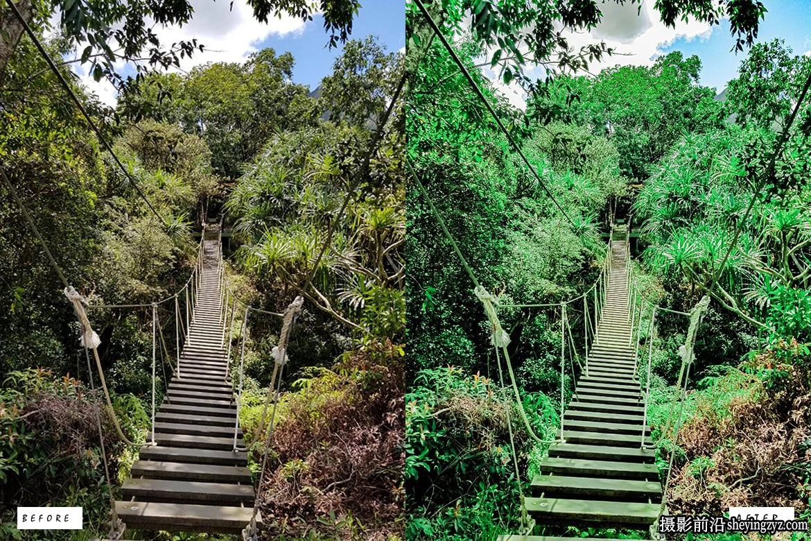 森林电影风光调色LR预设PS预设 Cinematic Forest Lightroom Presets