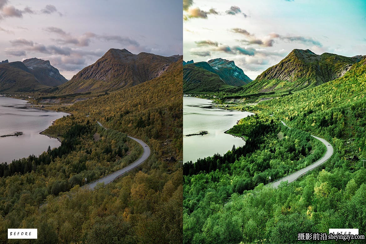 森林电影风光调色LR预设PS预设 Cinematic Forest Lightroom Presets