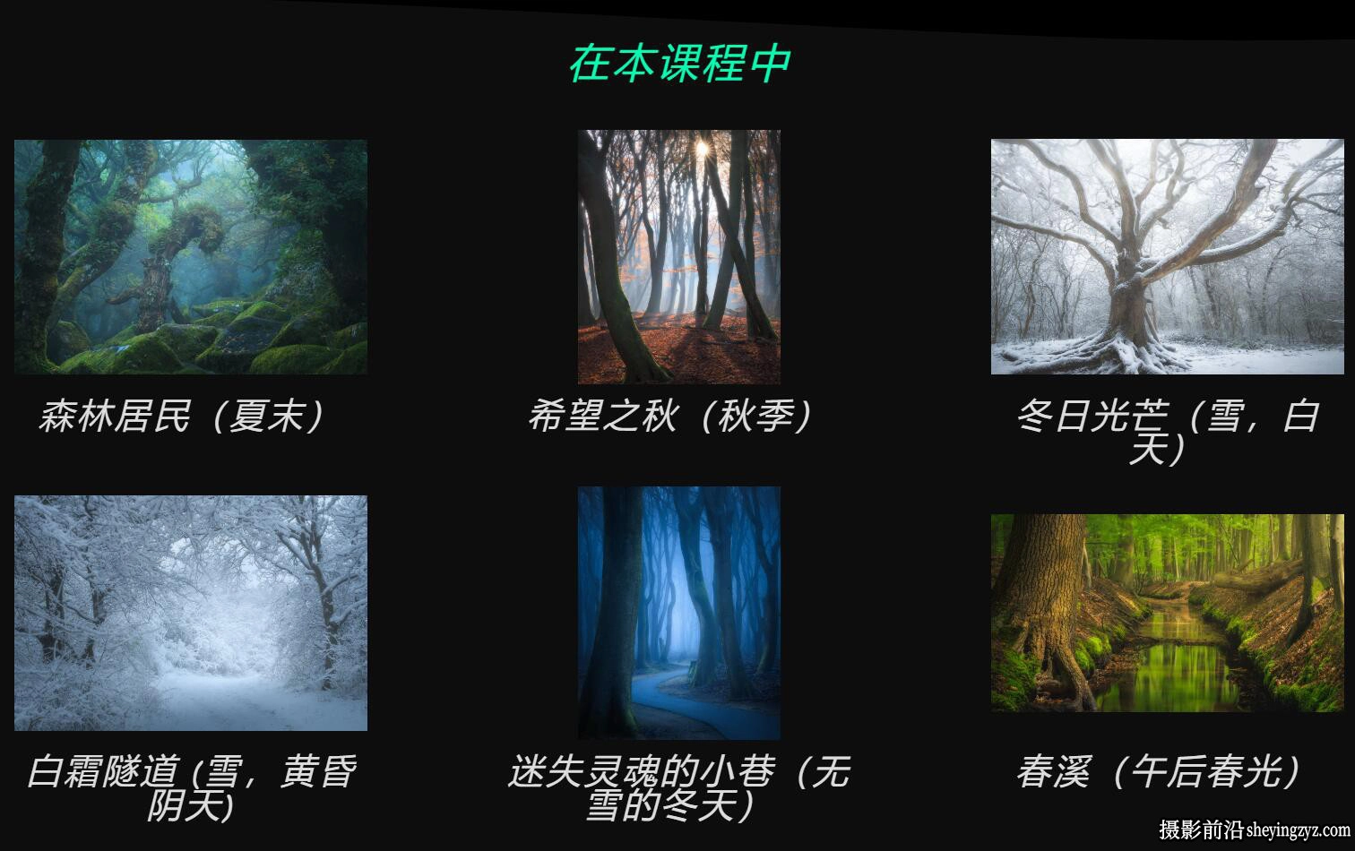 Daniel Laan 《黑暗森林中的四季》风光摄影后期修图教程-中英字幕