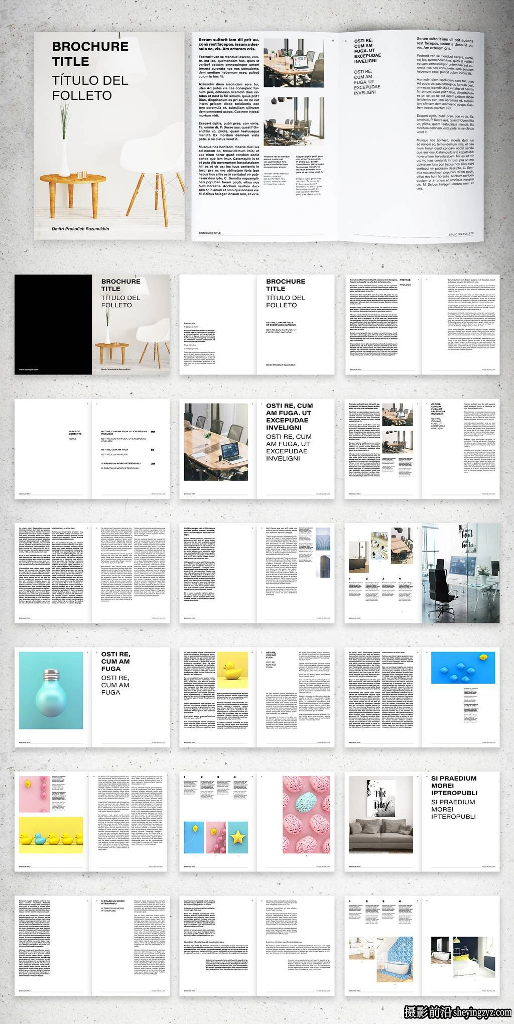 带有粗体文本元素的宣传册布局InDesign模板