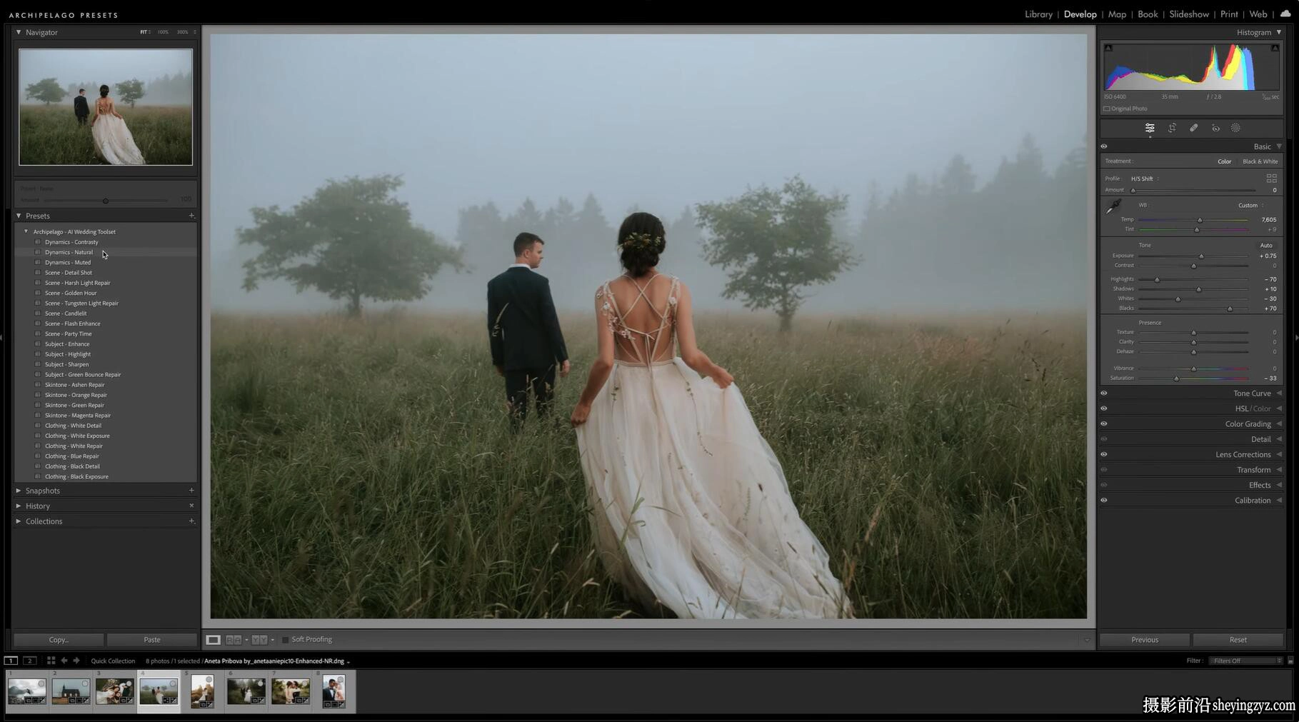 AI自适应婚纱婚礼AI人工智能LR预设 ARCHIPELAGO-AI_WEDDING TOOLSET