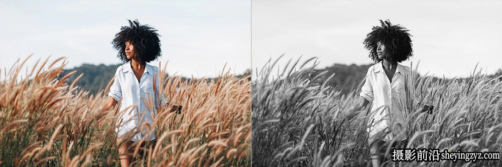 黑白电影胶片人像调色LR预设ACR调色预设 OnPresets-BLACK &amp; WHITE