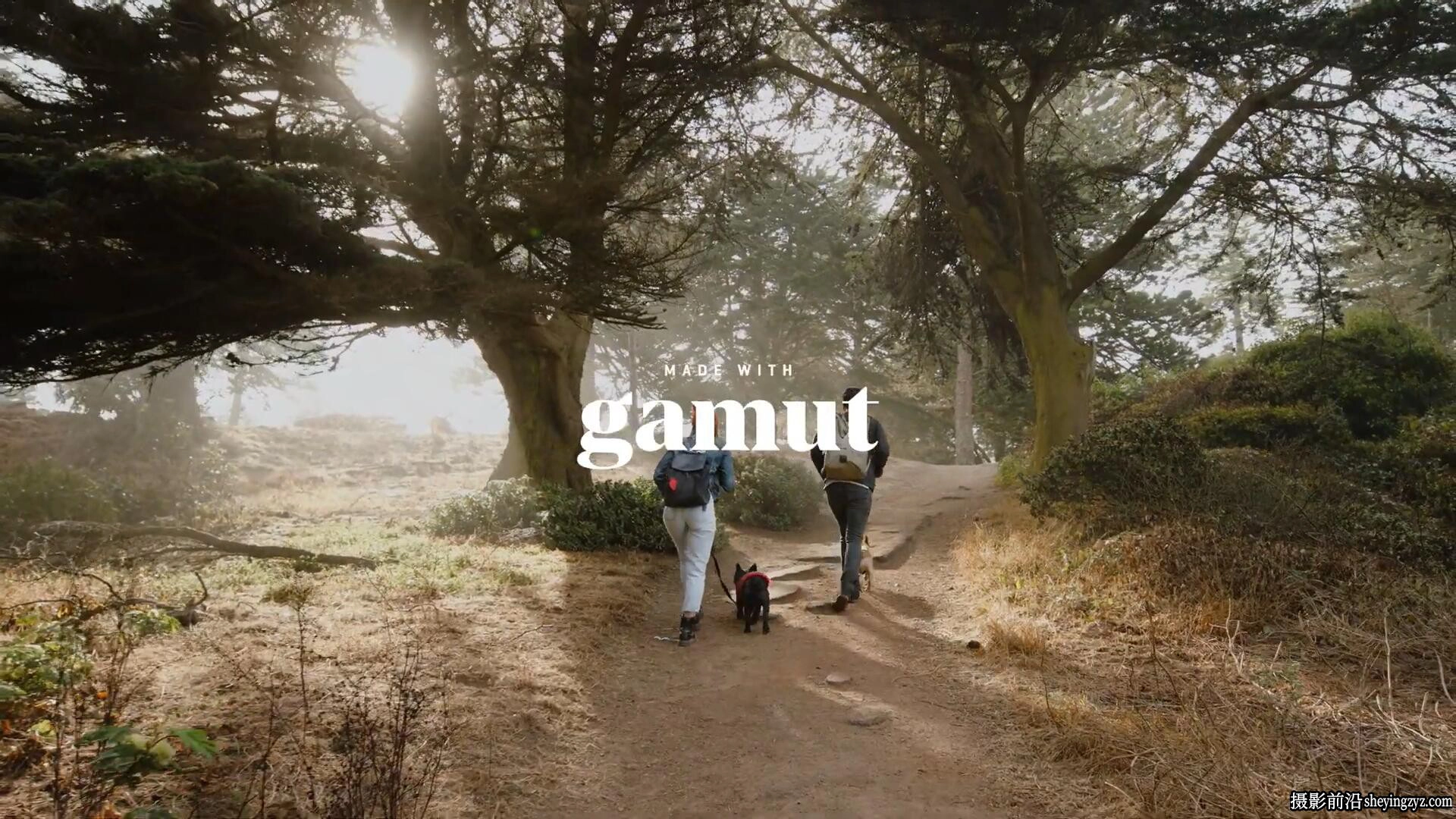 冒险旅拍户外电影感Vlog短片调色LUT预设Gamut – Stratus LUTS