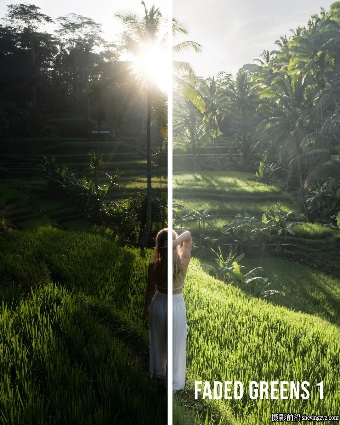 摄影师Jaxon Roberts电影风光LR预设ACR预设 Paradise Preset Pack