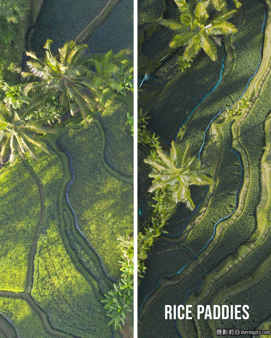 摄影师Jaxon Roberts电影风光LR预设ACR预设 Paradise Preset Pack